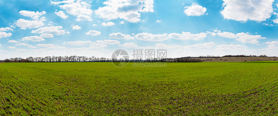 绿地和蓝天空全景图片