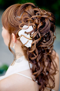 新娘发型成人卷曲头发婚礼理发师冰壶女性背景图片