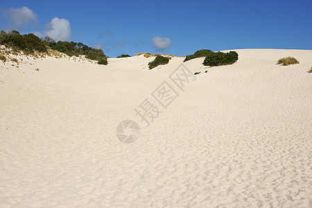 澳大利亚 小撒哈拉沙漠旅游海岸旅行自然保护区假期沙丘图片