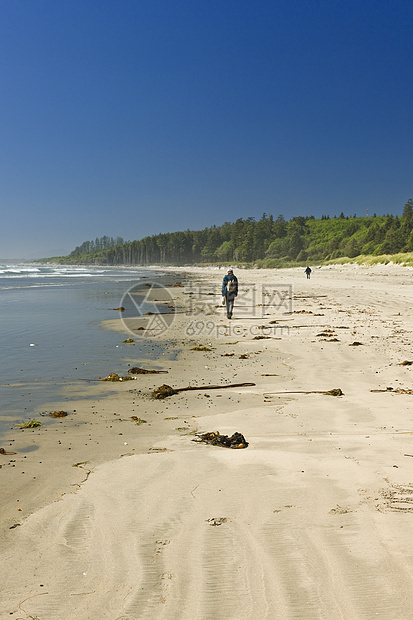 加拿大环环太平洋国家公园的桑迪海滩图片