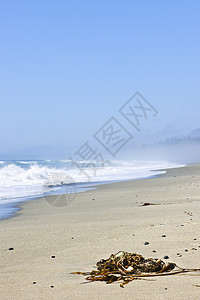 加拿大太平洋海岸沿岸的加拿大海藻海浪冲浪海岸风景荒野波浪轮缘泡沫薄雾图片