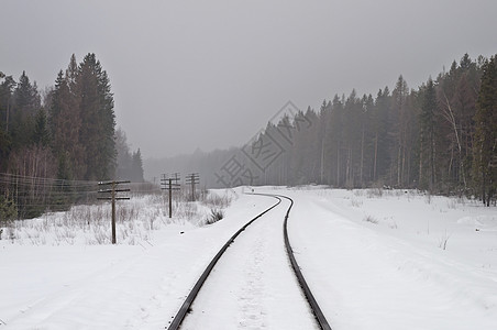 迷雾林中的铁路图片