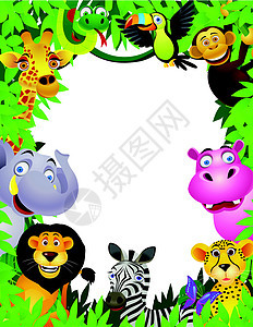 动物动漫画旅行猎豹漫画微笑森林黑猩猩叶子野生动物乐趣团体图片