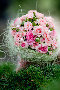 婚礼花束粉色婚姻玫瑰新娘柔软度松树订婚图片