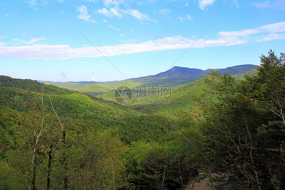 高加索山脉的风景天空脊柱蓝色树木休息木头和解旅游绿色旅行图片