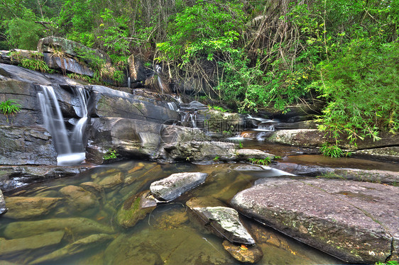 通过森林的连串水流瀑布失效溪流苔藓延时落叶绿色日志岩石时间图片