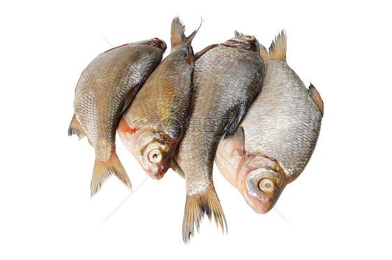 几个新鲜淡水鱼食物饮食鲤鱼海鲜灰色图片