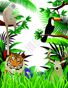 森林中的动物快乐幸福热带婴儿叶子框架老虎团体动物园野生动物图片