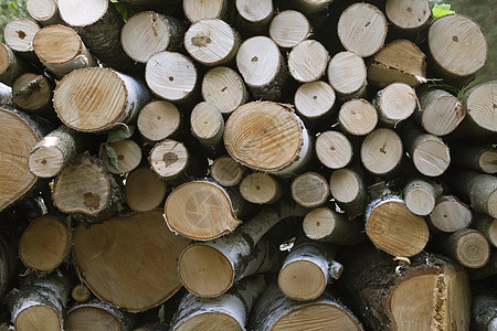 木堆布背景背景材料水平棕色木头树干记录桦木木材树木柴堆背景图片