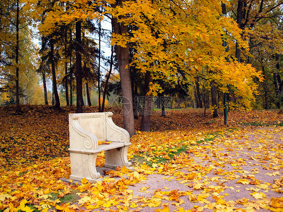 秋天公园古老的长椅图片