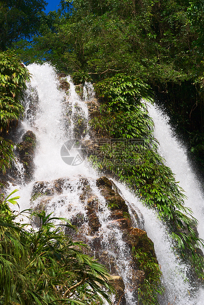 北哥伦比亚的瀑布喷涂照片森林飞溅水生植物石头岩石植物植被绿色图片