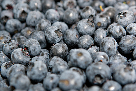 新鲜蓝莓水果小吃甜点维生素美味早餐浆果食物图片