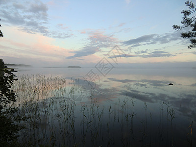 湖面日出 北卡丽莉亚镜子钓鱼海岸旅行针叶林针叶天空树木生态旅游图片