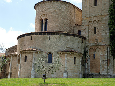 意大利托斯卡纳Montalcino附近Sant Antimo修道院圆顶历史旅行传统爬坡教会森林文化宗教教堂图片