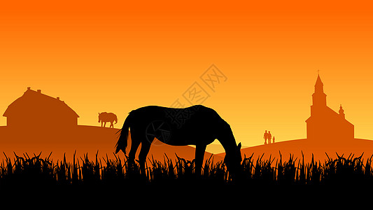 夏天日落时 两匹马在牧草上坡度马尾辫小马农村季节夹子地平线赛车全景野马图片