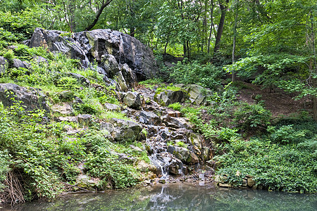 瀑布绿色风景石头树叶岩石场景池塘叶子湖泊河流图片