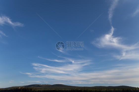 圆云云高度卷云气候天气丘陵气氛树木多云白色天空图片