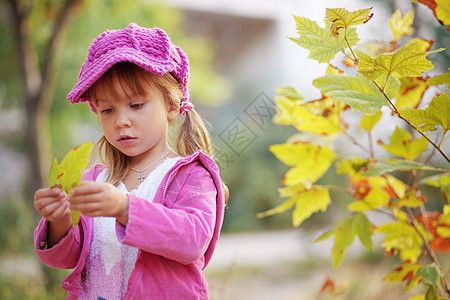 秋天公园的可爱女孩育儿帽子童年季节性公园粉色树叶孩子衣服冒充图片