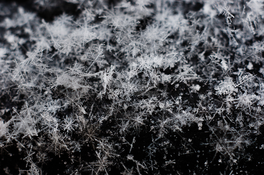 黑色背景宏观拍摄的冰球冠状体水晶框架冰花玻璃霜花磨砂蓝色冻结薄片季节图片