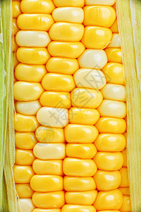 特写玉米食物水果金子饮食农场营养植物内核生产迷宫图片