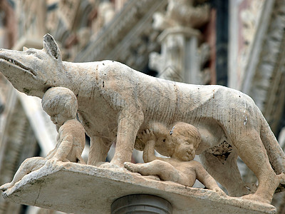 锡耶纳  在杜奥莫外墙前的母狼专栏旅行大理石传奇宗教窗户雕像历史性艺术地标石头图片