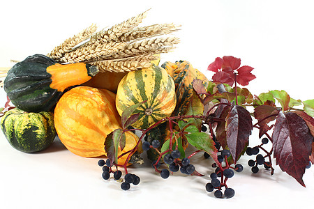 感恩篮子市场节日爬行者水果季节小麦蔬菜植物葫芦图片