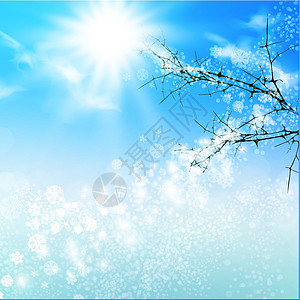 冬季云景多云情绪天空季节性植物插图阳光雪花地平线图片