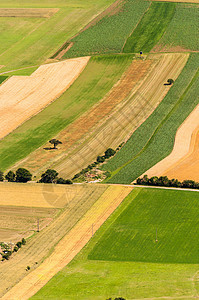 收获前绿色田野空中观察阳光地面国家金子晴天食物农作物场地谷物房子图片