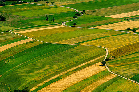 收获前绿色田野空中观察农作物场景食物谷物地面房子国家金子土地生长图片