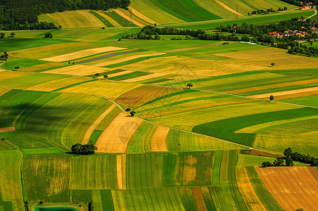 收获前绿色田野空中观察阳光金子收成土地国家房子食物农作物谷物场地图片