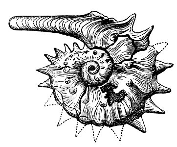 阿蒙诺化石古老的雕刻图片