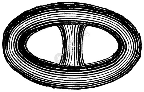 链条 Brunton 或 Catena 旧年雕刻中的链接古董力量白色插图绘画金属打印戒指蚀刻艺术图片