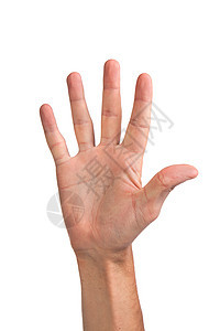 5号手势 在白色上隔开成功表决手臂棕榈男性数字手腕帮助投票志愿图片