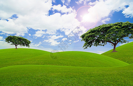 绿树气候环境蓝色多云美丽天空绿色图片