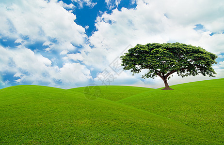 绿树绿色美丽多云蓝色环境天空气候图片