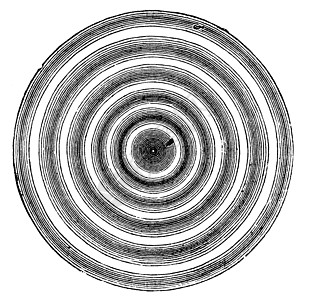 牛顿戒指复古雕刻它制作图案艺术艺术品圆圈插图白色彩虹波长绘画干涉球形图片