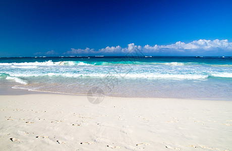 热带海洋蓝色风景假期阳光棕榈波纹日落天空气候海浪图片