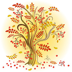 秋花多彩的秋树背景图片