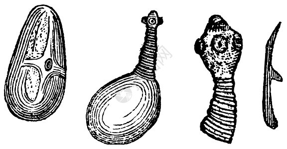 猪排虫或泰尼亚 旧式雕刻绘画艺术品感染艺术叶绿素动物动物学蚀刻笨蛋古董图片