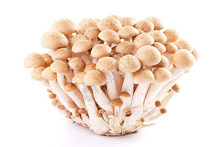 孤立新鲜蘑菇组宏观饮食菌类食物蔬菜美食植物团体季节按钮图片