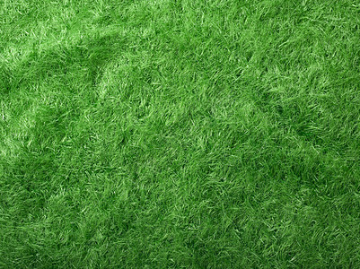 假草塑料模仿纤维草地运动比赛公园地面娱乐草皮图片