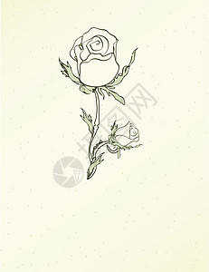 旧玫瑰复古卡斑点邀请函绘画插图横幅草图图片