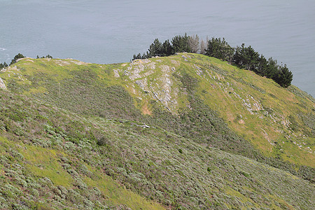 海边的山丘悬崖场景支撑绿色爬坡海洋蓝色风景海岸线海岸图片