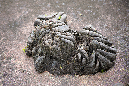 泰国国家公园(泰国)岩石上的野生粪便图片