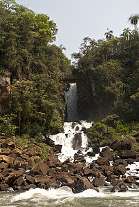 阿根廷伊瓜祖瀑陷全景丛林流动森林天空边缘薄雾树木公园生态图片