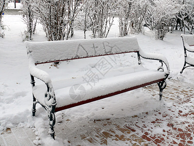 保加利亚索非亚的爱与雪季节长椅金属家具场景冻结花园天气公园孤独图片