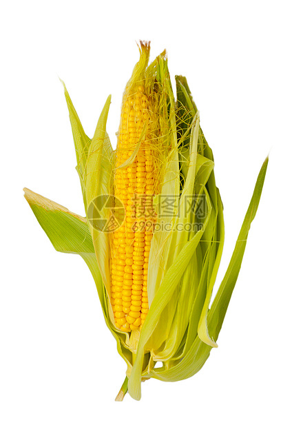 白色背景的玉米鳕鱼绝闭黄色对象玉米芯蔬菜叶子食物绿色宏观图片