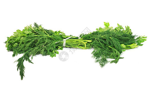 Dill和Parsley 孤立于白色背景养分小吃绿色蔬菜宏观香菜食物茴香厨房图片