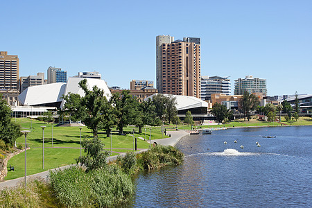 南澳大利亚澳大利亚阿德莱德全景旅行城市建筑假期背景