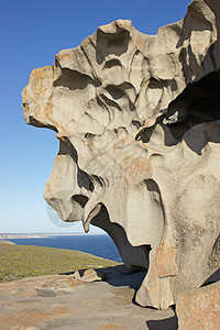 澳大利亚著名岩石公司海岸线旅行地标假期旅游海岸编队图片